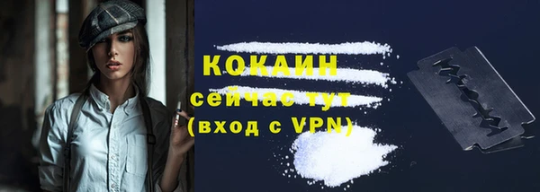 крисы Арсеньев