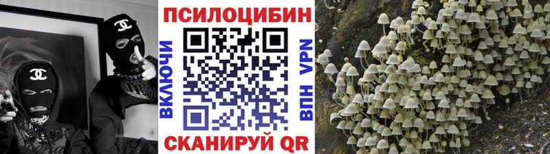 Купить закладки  Обоянь  Псилоцибиновые грибы мицелий 